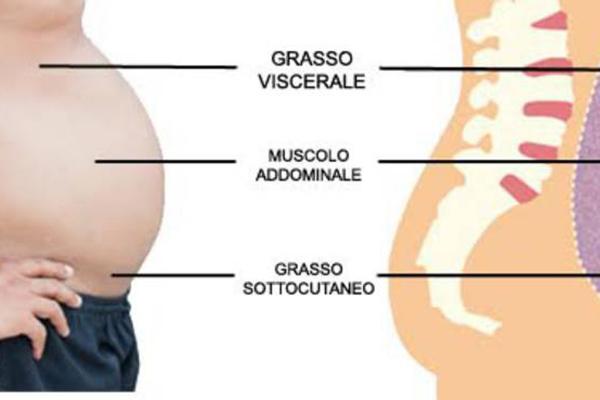 Il grasso viscerale: perchè è importante e come ridurlo
