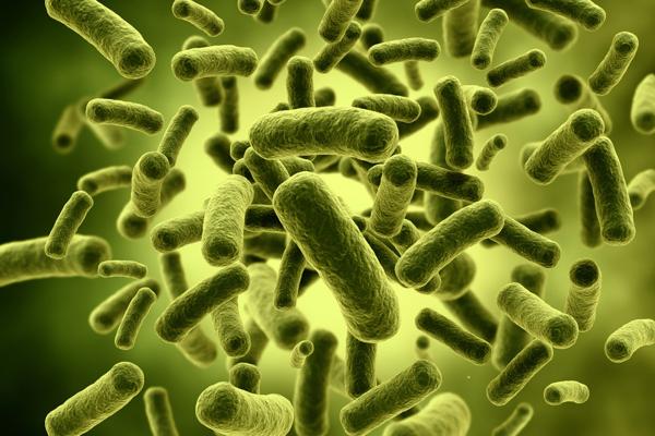 Lo stretto connubio tra flora batterica e corpo influenza il nostro benessere