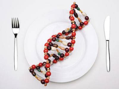 I geni influenzano la risposta ai cibi