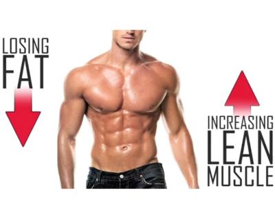 La ricomposizione corporea è possibile in determinate condizioni